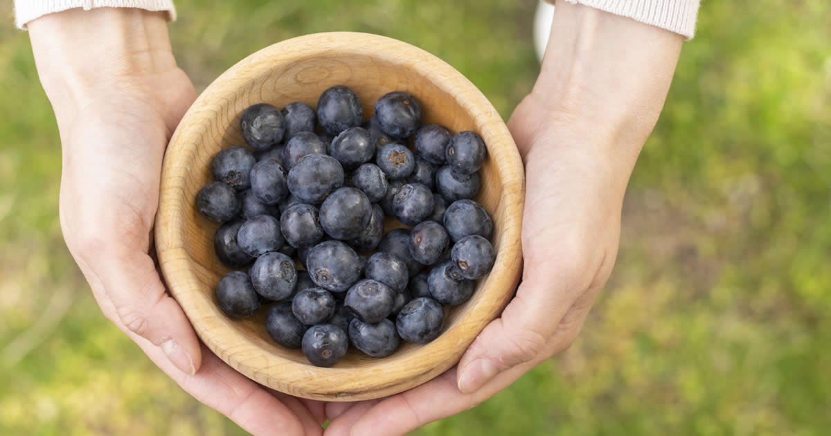 el acai es igual al arándano