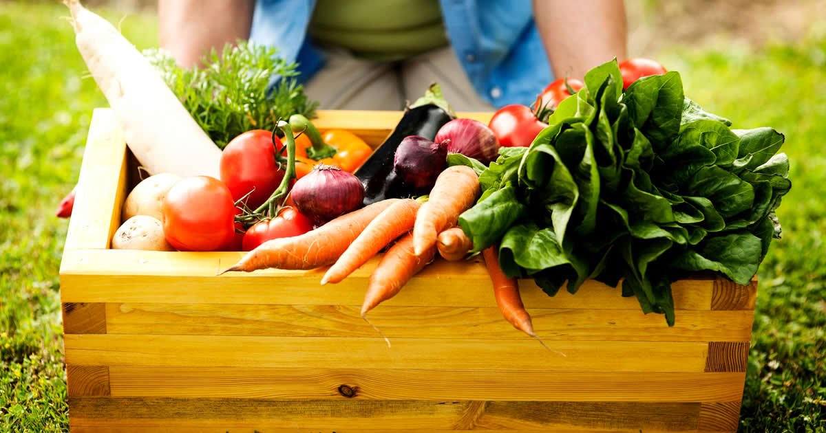 por qué comprar frutas y verduras directamente al agricultor en españa