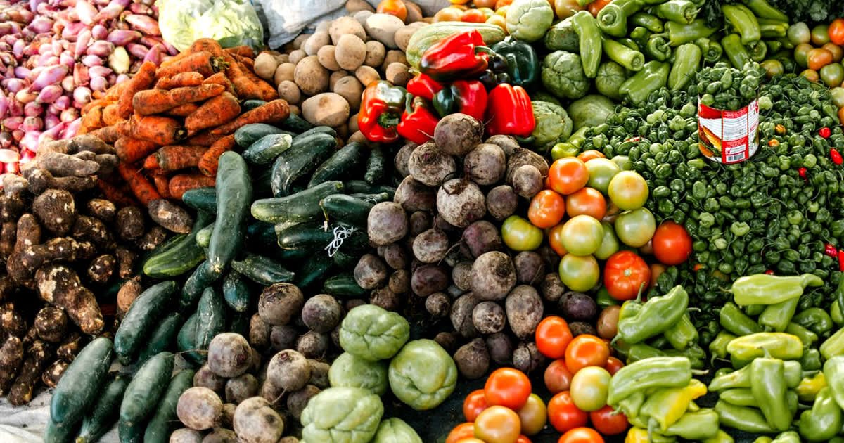 ¿Qué es la proteína vegetal y cuál es su uso?