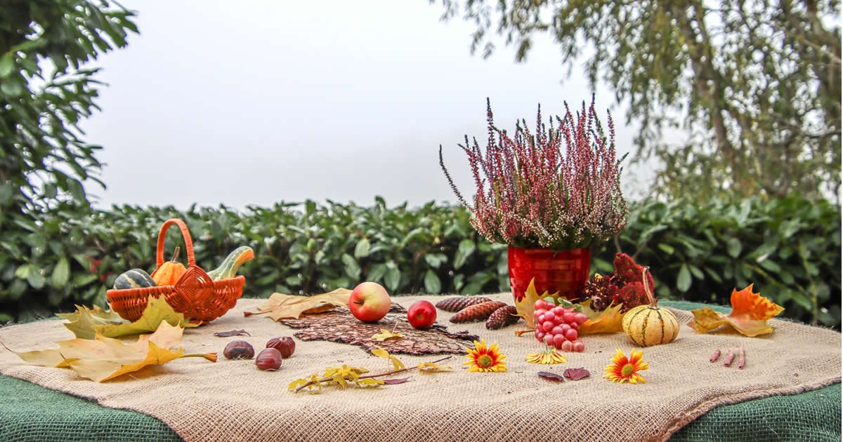 ¿Qué comer saludable en otoño?