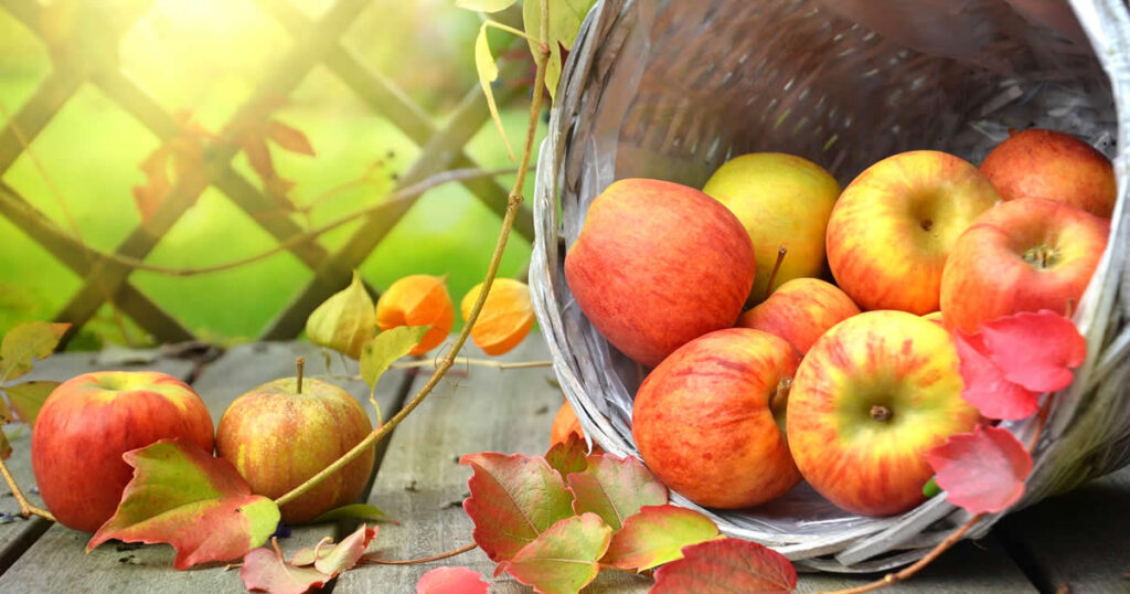 frutas y verduras de invierno en españa