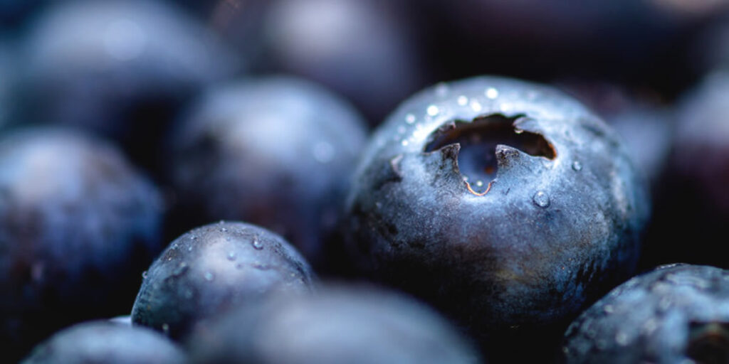 imagen de la fruta de acai para ¿Por qué comprar açaí congelado a un distribuidor en España?