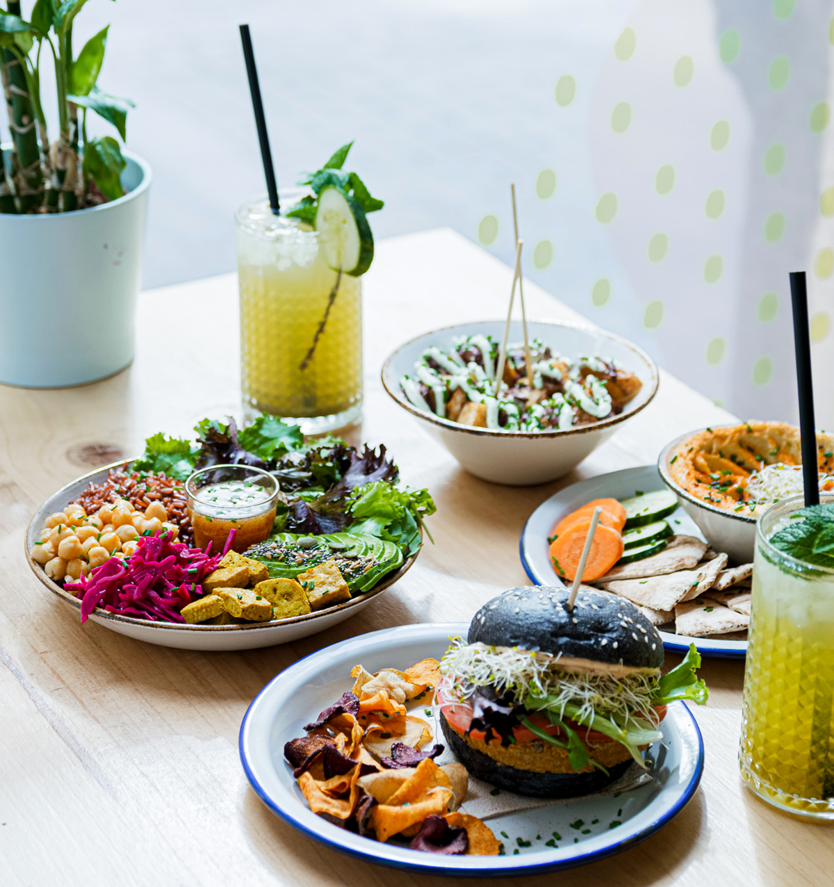 imagen de qué se puede comer en un restaurante macrobiótico vegano en españa, en barcelona, madrid o valencia