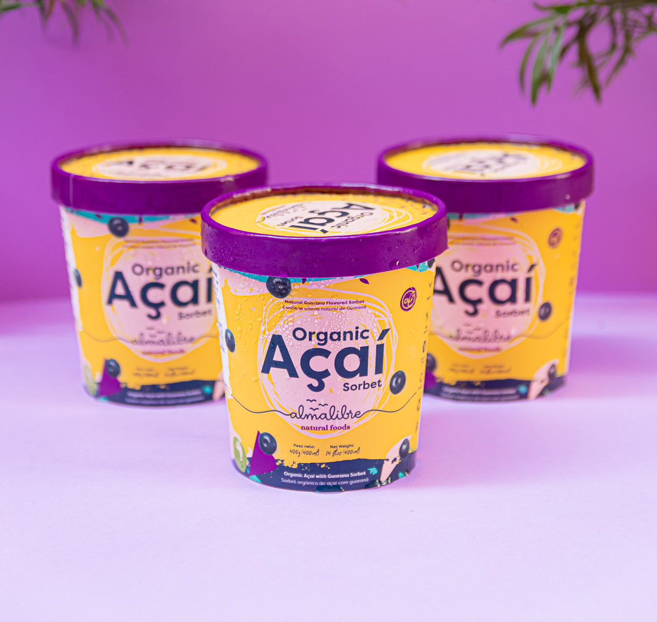 fotos de acai congelado premium para ¿Por qué comprar pulpa de açaí congelado?