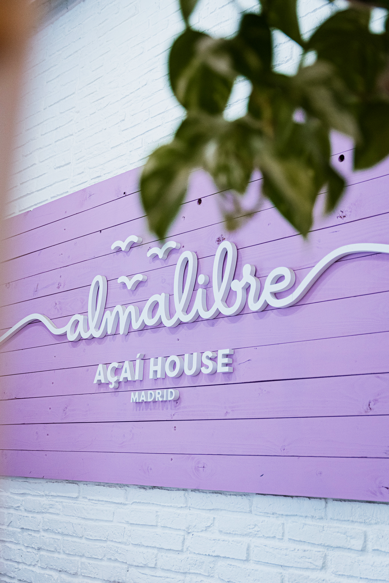 almalibre acai house en madrid
