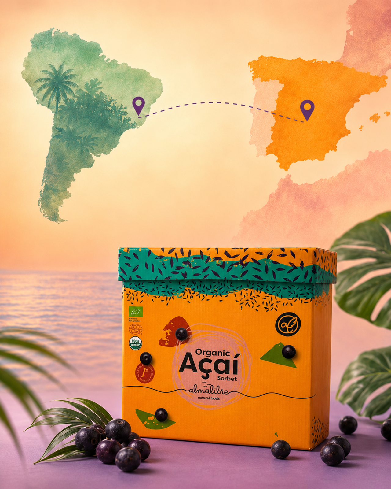 imagen de mapas de brasil y españa con acai almalibre para el articulo ¿Cómo importar açaí de Brasil a España?